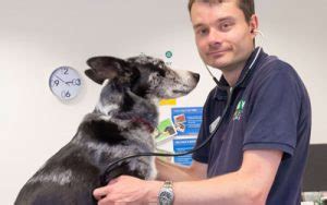 Veterinary Surgery Rochdale .